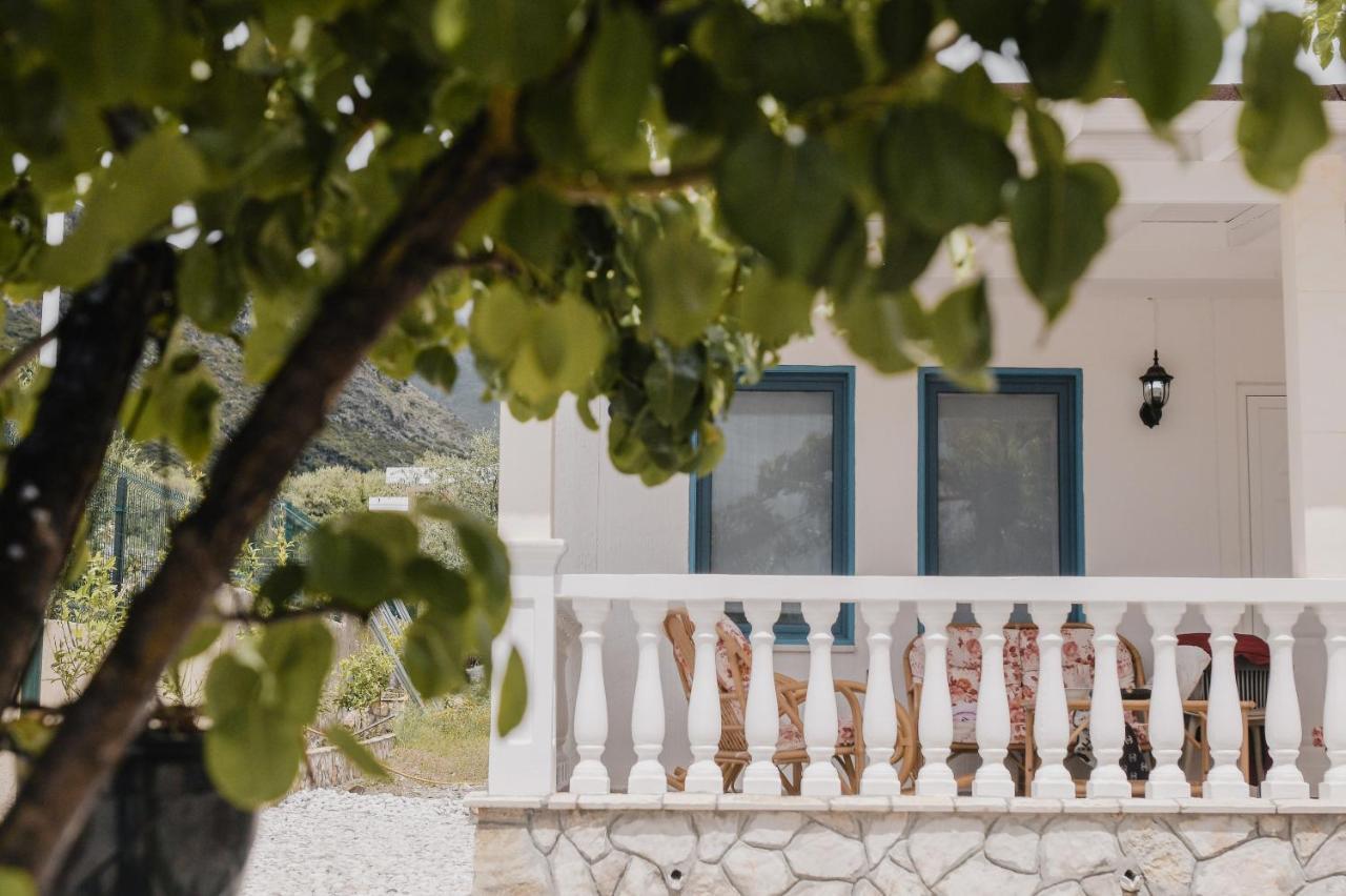 Natali * Himare